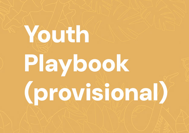 Youth Playbook (provisional)
