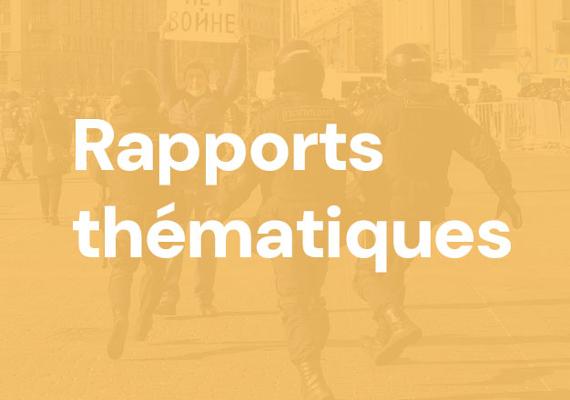 Rapports thématiques