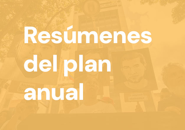 Resúmenes del plan anual